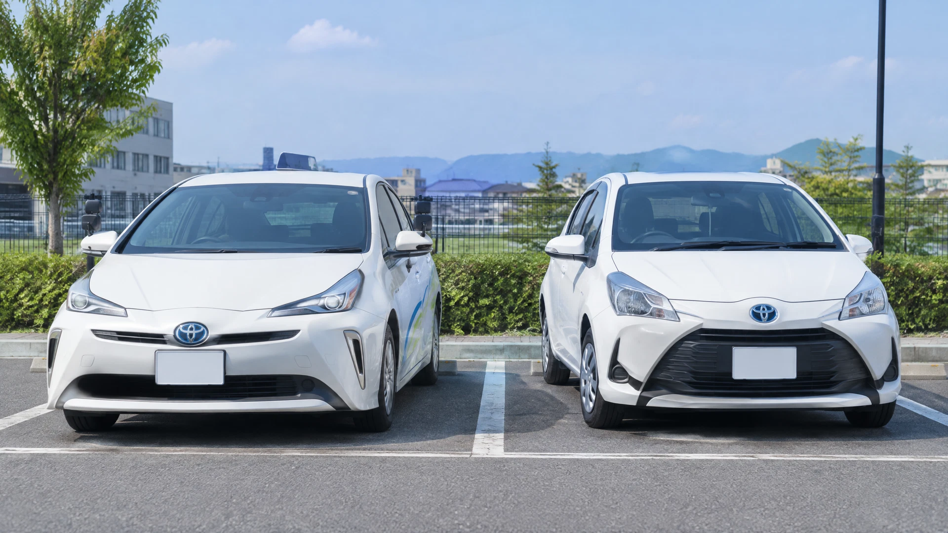 白い教習車プリウスと一般的な日本車のマイカーの2つの選択肢